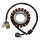 SGR Stator Yamaha YFM 350 Grizzly (07-14), Wolverine (06-09)