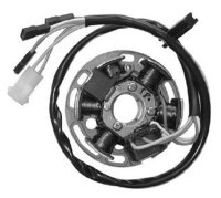 SGR Stator Aprilia, Derbi, Gilera RX/SX, Senda R/SM, RCR...