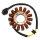 SGR Stator Honda CBR 600 RR / ABS (07-12)