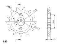 Supersprox Ritzel 520 - 12Z CST-266:12|grobverzahnt...