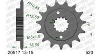 DC AFAM Ritzel 520 - 15Z 20517-15