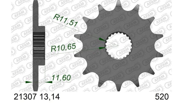 DC AFAM Ritzel 520 - 13Z 21307-13