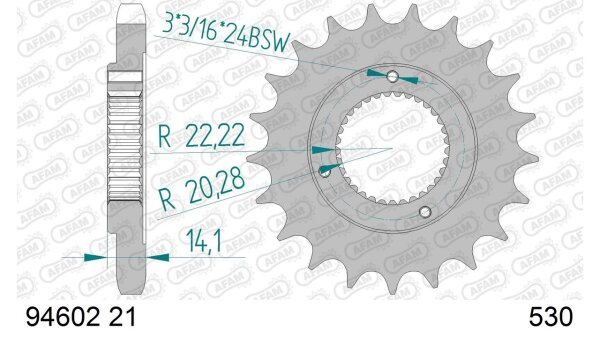 DC AFAM Ritzel 530 - 21Z 94602-21