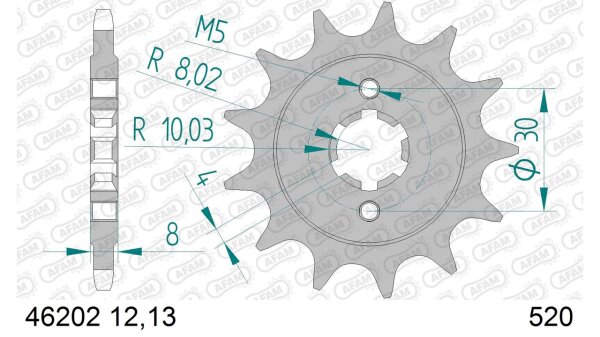 DC AFAM Ritzel 520 - 13Z 46202-13