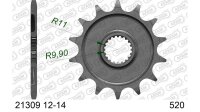 DC AFAM Ritzel 520 - 13Z 21309-13