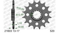 DC AFAM Ritzel 520 - 13Z 21603-13