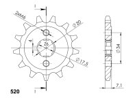 Supersprox Ritzel 520 - 13Z CST-266:13|grobverzahnt...