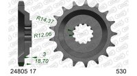 DC AFAM Ritzel 530 - 17Z 24805-17