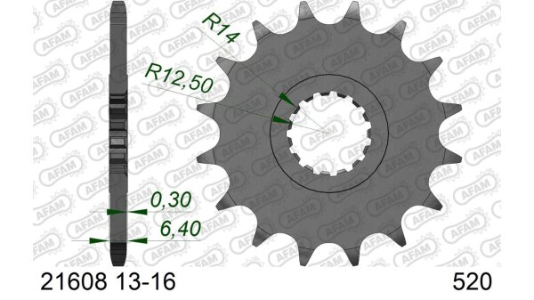 DC AFAM Ritzel 520 - 13Z 21608-13