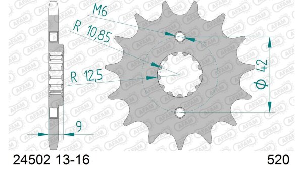 DC AFAM Ritzel 520 - 13Z 24502-13