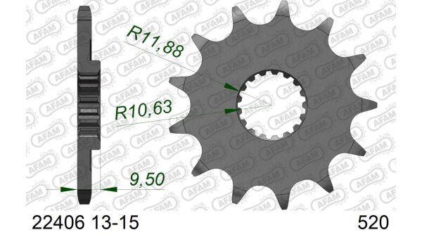 DC AFAM Ritzel 520 - 13Z 22406-13