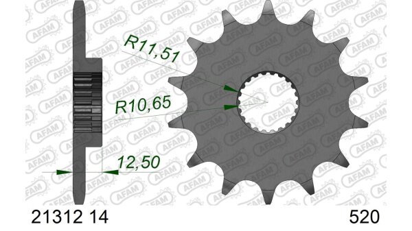 DC AFAM Ritzel 520 - 14Z 21312-14