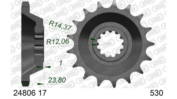 DC AFAM Ritzel 530 - 17Z 24806-17