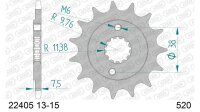 DC AFAM Ritzel 520 - 13Z 22405-13