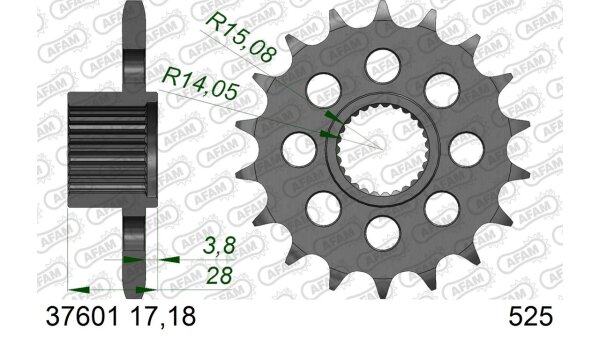 DC AFAM Ritzel 525 - 18Z 37601-18