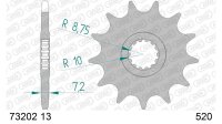 DC AFAM Ritzel 520 - 13Z 73202-13