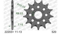 DC AFAM Ritzel 520 - 13Z 22203+13 | mit Schlammrille