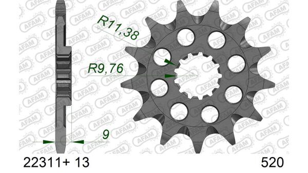 DC AFAM Ritzel 520 - 13Z 22311+13 | mit Schlammrille