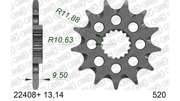 DC AFAM Ritzel 520 - 13Z 22408+13 | mit Schlammrille