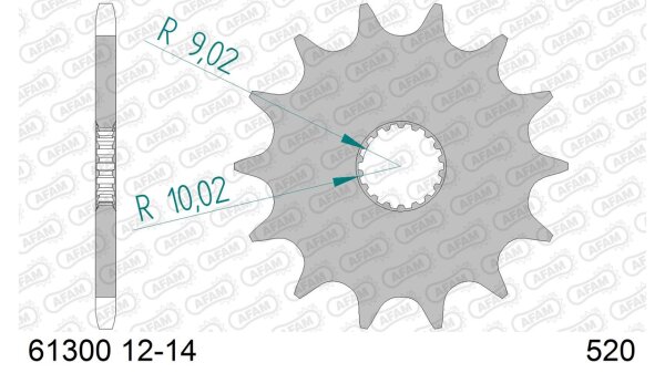 DC AFAM Ritzel 520 - 13Z 61300-13