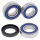 All-Balls Racing 25-1720 Radlagersatz hinten