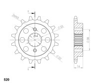 Supersprox Ritzel 520 - 15Z CST-736:15|feinverzahnt 22,0/25,0