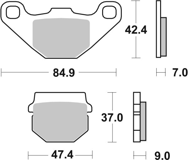 SBS Scooterbelag 101CT (Satz pro Scheibe) Carbon Tech